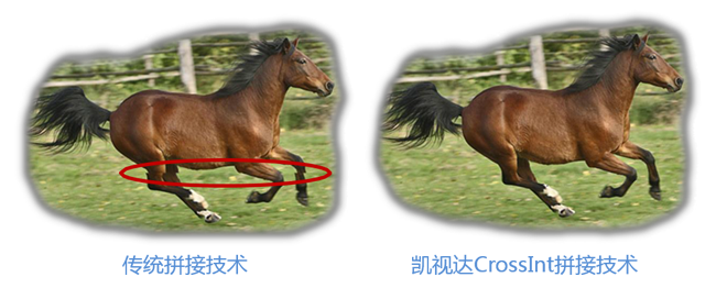 bevictor伟德-bv伟德国际体育官方网站