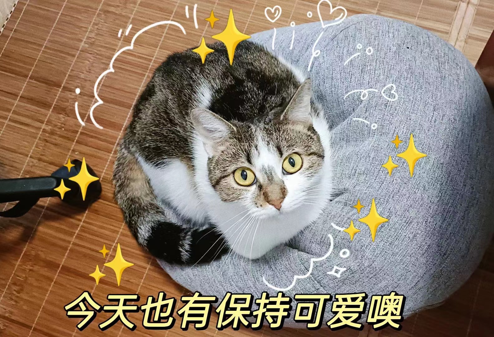 bevictor伟德-bv伟德国际体育官方网站